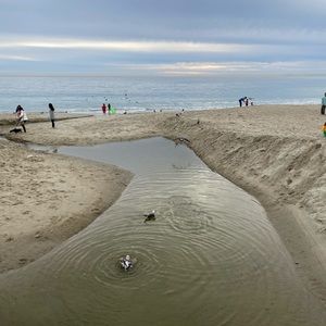 Meet your Posher, Ryoko